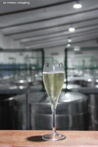 Neethlingshof Estate [4 Stellenbosch