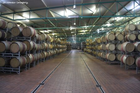 Neethlingshof Estate [8] Stellenbosch