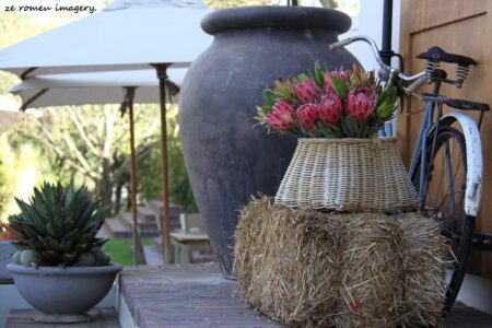Noble Hill Winery [1], Stellenbosch