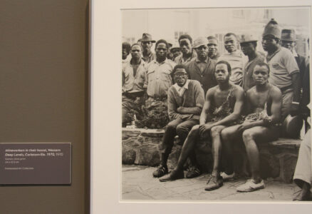 Noval Foundation Art & Sculpture Garden Museum Constantia (26)
