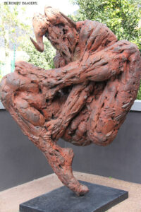 Noval Foundation Art & Sculpture Garden Museum Constantia (30)