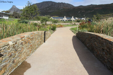 Noval Foundation Art & Sculpture Garden Museum Constantia (45)