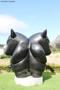 Noval Foundation Art & Sculpture Garden Museum Constantia (48)