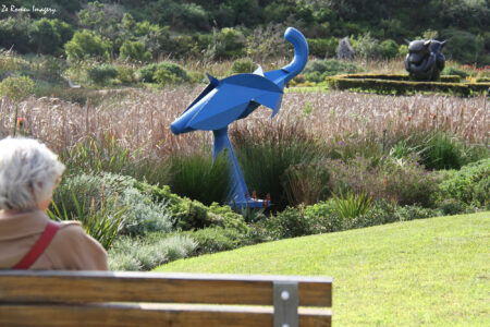 Noval Foundation Art & Sculpture Garden Museum Constantia (52)