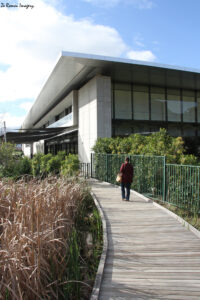 Noval Foundation Art & Sculpture Garden Museum Constantia (56)