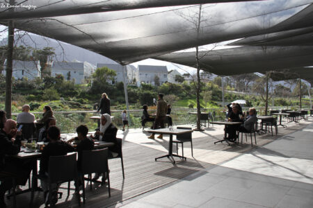 Noval Foundation Art & Sculpture Garden Museum Constantia (58)