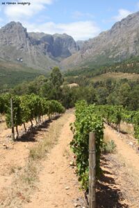 Rainbow's End Wine Estate [1]