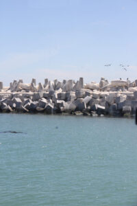 Robben Island Tour & Pictures (12)