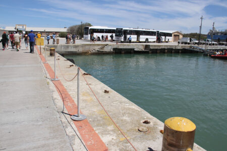 Robben Island Tour & Pictures (15)