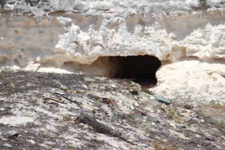 Robben Island Tour & Pictures (19)
