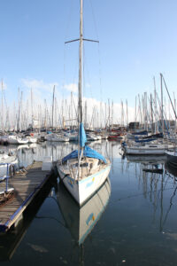 Royal Cape Yacht Club Waterfront (1)