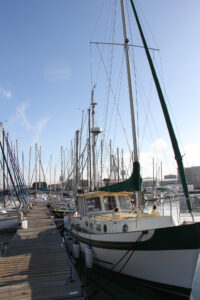 Royal Cape Yacht Club Waterfront (5)