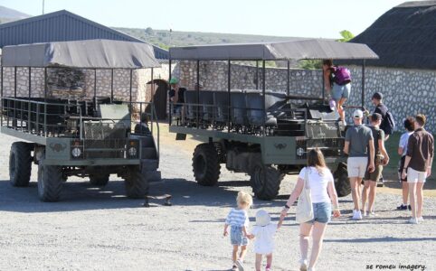 Safari Vehicles [1]