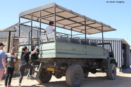 Safari Vehicles [2]