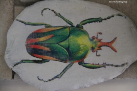 Sculptures & Art Tours, Cape Town [11]
