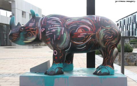 Sculptures & Art Tours, Cape Town [16]