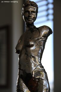 Sculptures & Art Tours, Cape Town [17]