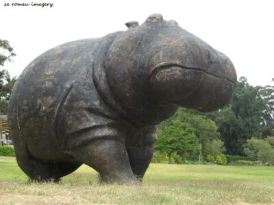 Sculptures & Art Tours, Cape Town [20]