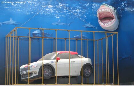 Sculptures & Art Tours, Cape Town [25]