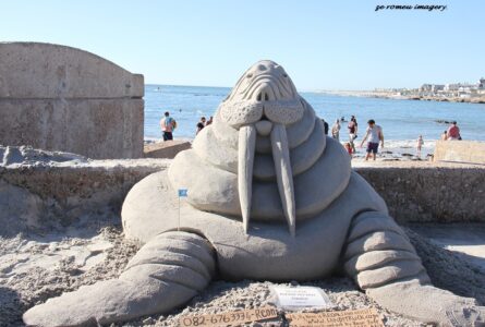 Sculptures & Art Tours, Cape Town [3]