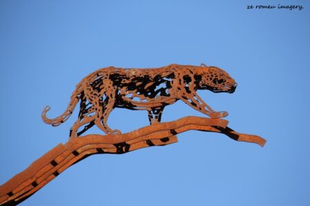 Sculptures & Art Tours, Cape Town [35]