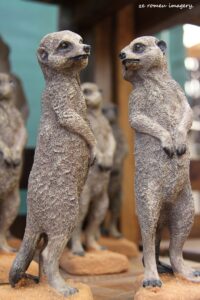 Sculptures & Art Tours, Cape Town [8]