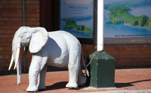 Simonstown Centre (19)