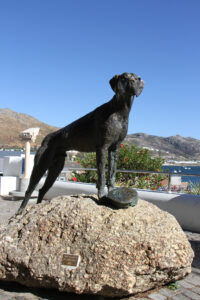 Simonstown Centre (6)