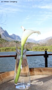 Stark Conde Wine Farm [4], Stellenbosch