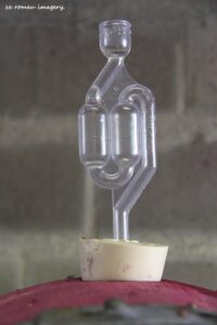 Terra Do Sul Wines By Garagiste Jose Romeu De Abreu & The Wine Making Process [1]