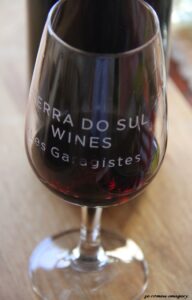 Terra Do Sul Wines By Garagiste Jose Romeu De Abreu & The Wine Making Process [10]