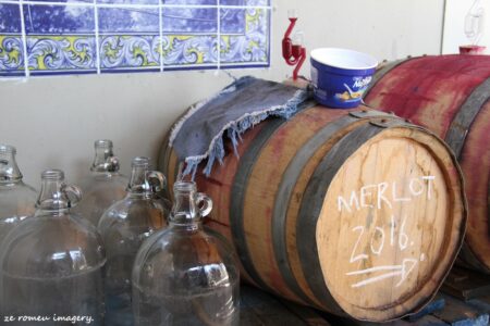 Terra Do Sul Wines By Garagiste Jose Romeu De Abreu & The Wine Making Process [11]