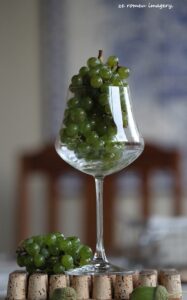 Terra Do Sul Wines By Garagiste Jose Romeu De Abreu & The Wine Making Process [15]