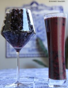 Terra Do Sul Wines By Garagiste Jose Romeu De Abreu & The Wine Making Process [17]