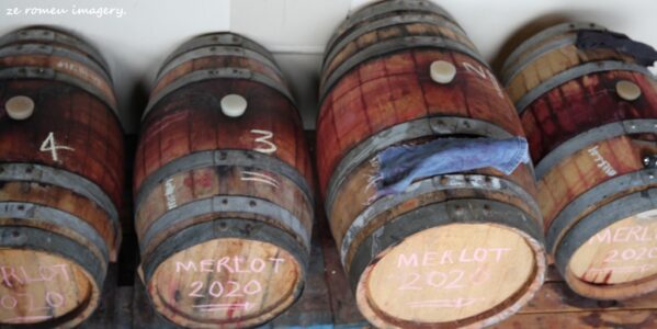 Terra Do Sul Wines By Garagiste Jose Romeu De Abreu & The Wine Making Process [19]