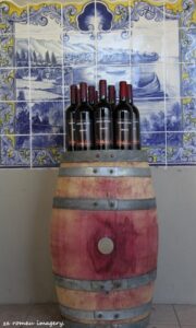 Terra Do Sul Wines By Garagiste Jose Romeu De Abreu & The Wine Making Process [2]
