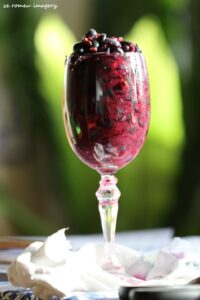 Terra Do Sul Wines By Garagiste Jose Romeu De Abreu & The Wine Making Process [21]