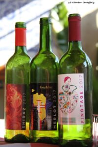 Terra Do Sul Wines By Garagiste Jose Romeu De Abreu & The Wine Making Process [22]