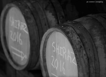 Terra Do Sul Wines By Garagiste Jose Romeu De Abreu & The Wine Making Process [23]