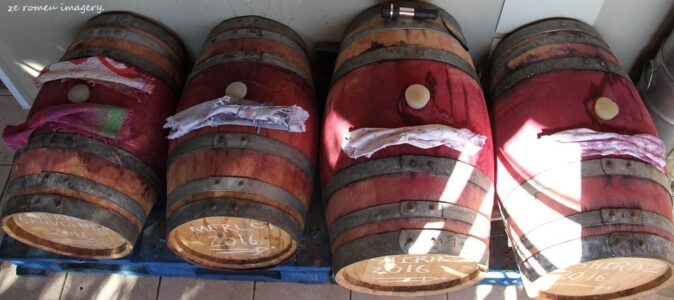 Terra Do Sul Wines By Garagiste Jose Romeu De Abreu & The Wine Making Process [24]