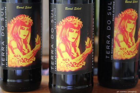 Terra Do Sul Wines By Garagiste Jose Romeu De Abreu & The Wine Making Process [25]