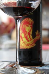 Terra Do Sul Wines By Garagiste Jose Romeu De Abreu & The Wine Making Process [27]