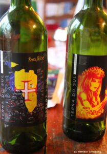Terra Do Sul Wines By Garagiste Jose Romeu De Abreu & The Wine Making Process [28]