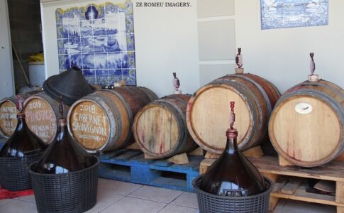 Terra Do Sul Wines By Garagiste Jose Romeu De Abreu & The Wine Making Process [29]