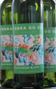 Terra Do Sul Wines By Garagiste Jose Romeu De Abreu & The Wine Making Process [30]