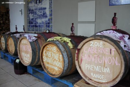 Terra Do Sul Wines By Garagiste Jose Romeu De Abreu & The Wine Making Process [31]