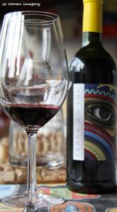 Terra Do Sul Wines By Garagiste Jose Romeu De Abreu & The Wine Making Process [32]