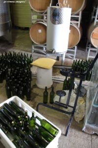 Terra Do Sul Wines By Garagiste Jose Romeu De Abreu & The Wine Making Process [35]
