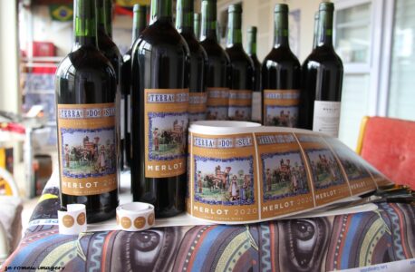 Terra Do Sul Wines By Garagiste Jose Romeu De Abreu & The Wine Making Process [36]