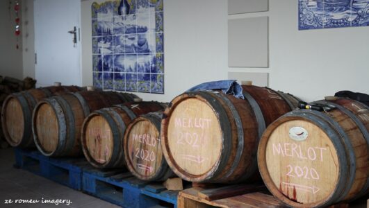 Terra Do Sul Wines By Garagiste Jose Romeu De Abreu & The Wine Making Process [39]